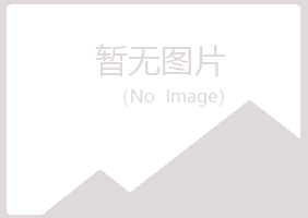 惠东县夏岚水泥有限公司